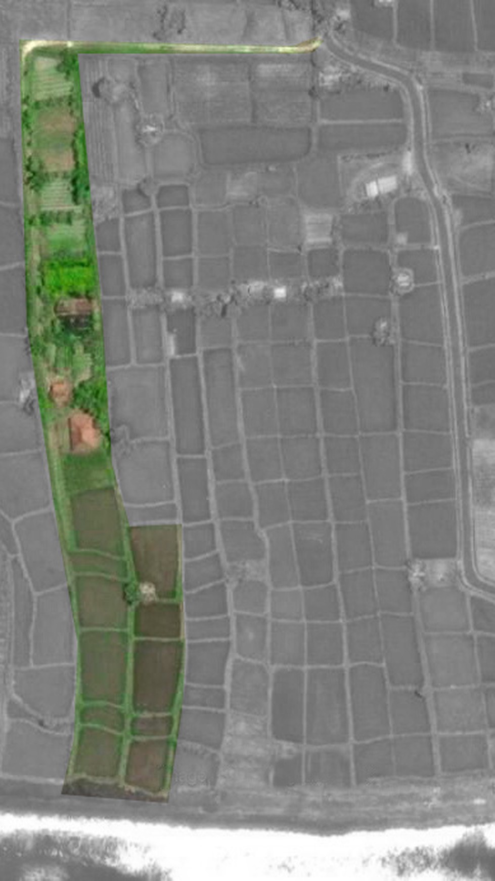 Land Freehold 9800 Sqm In Klungkung Klotok Bali