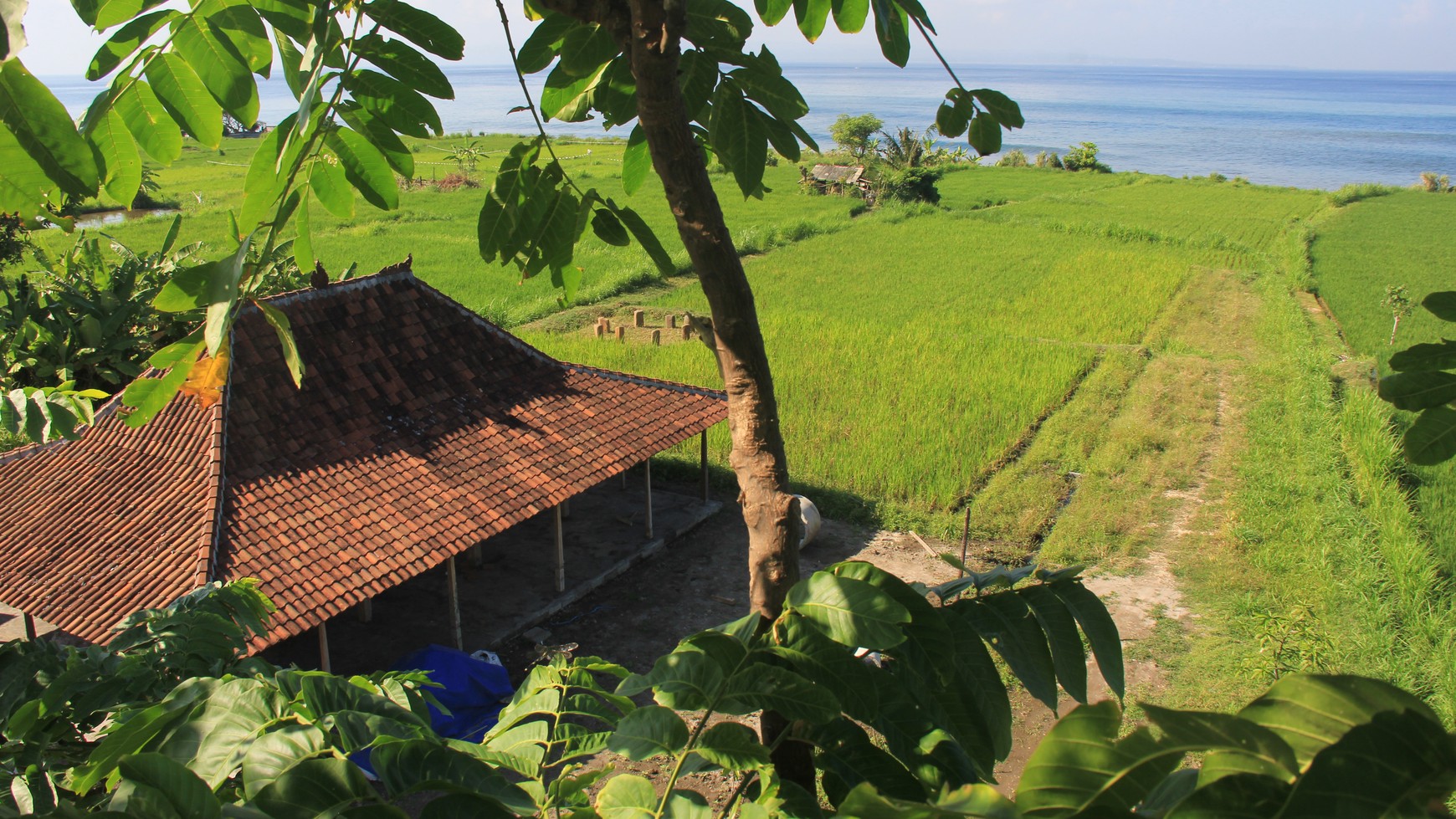 Land Freehold 9800 Sqm In Klungkung Klotok Bali