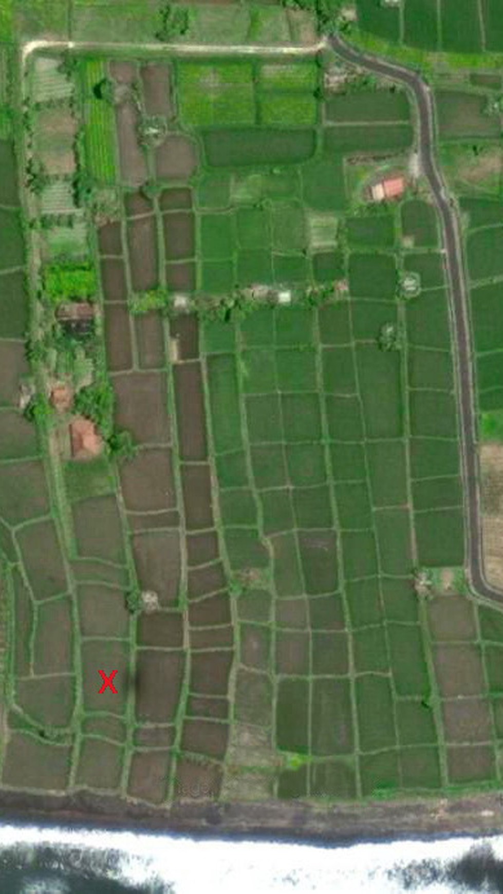 Land Freehold 9800 Sqm In Klungkung Klotok Bali