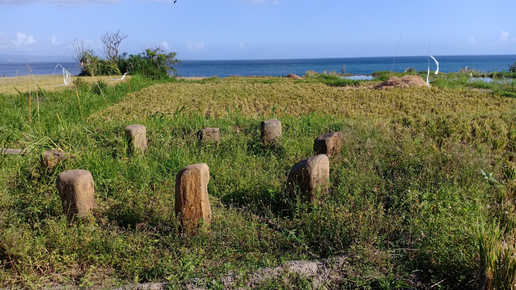 Land Freehold 9800 Sqm In Klungkung Klotok Bali