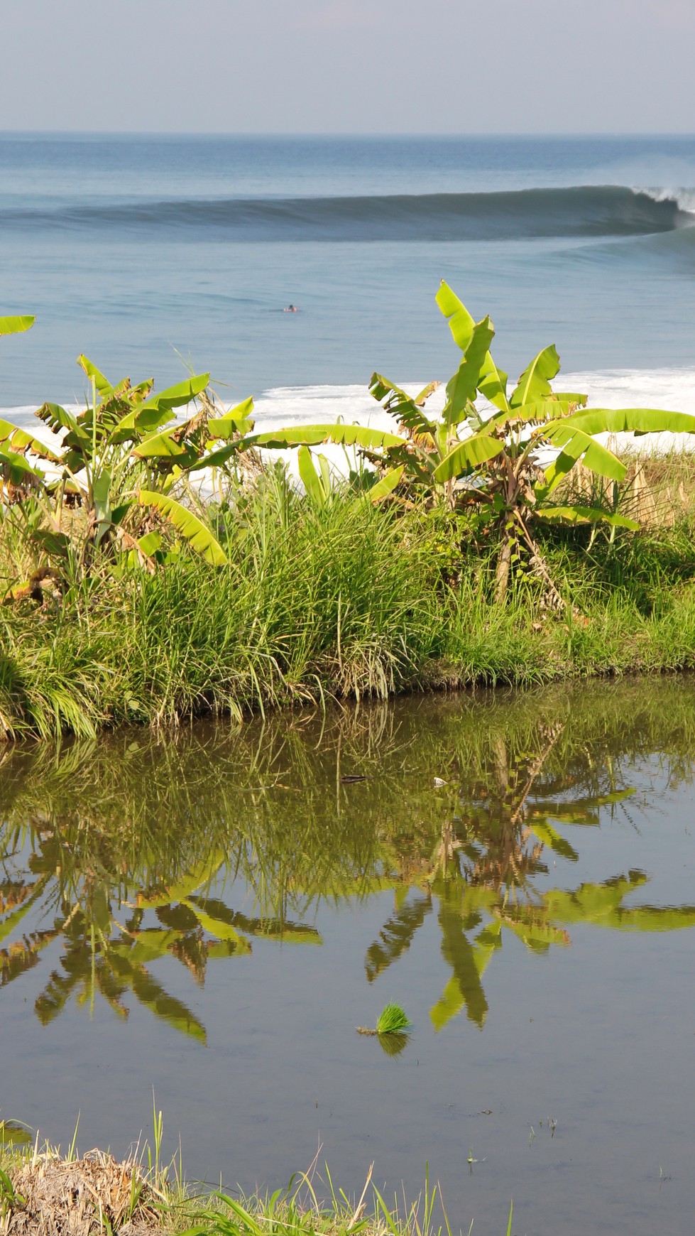 Land Freehold 9800 Sqm In Klungkung Klotok Bali