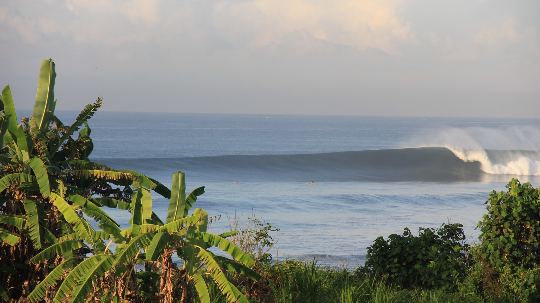 Land Freehold 9800 Sqm In Klungkung Klotok Bali