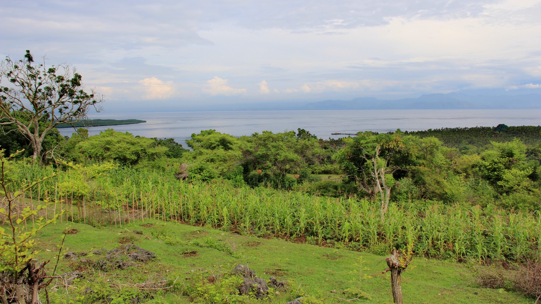 3900 Sqm Freehold Land In Toya Pakeh Nusa Penida