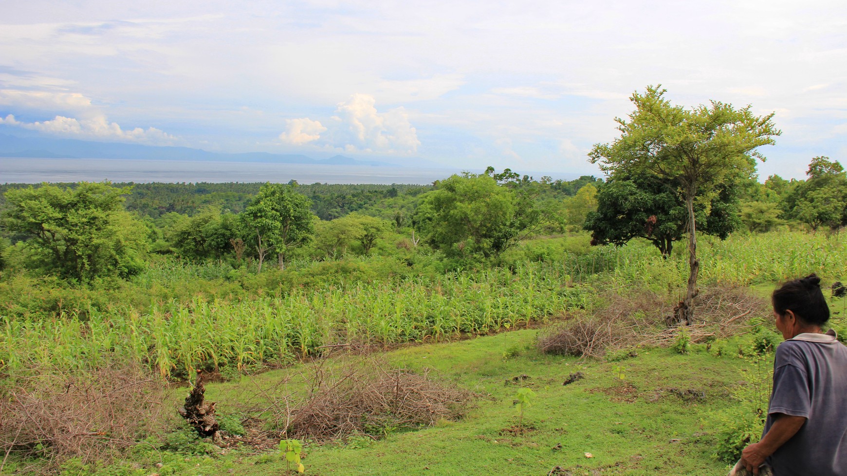 3900 Sqm Freehold Land In Toya Pakeh Nusa Penida