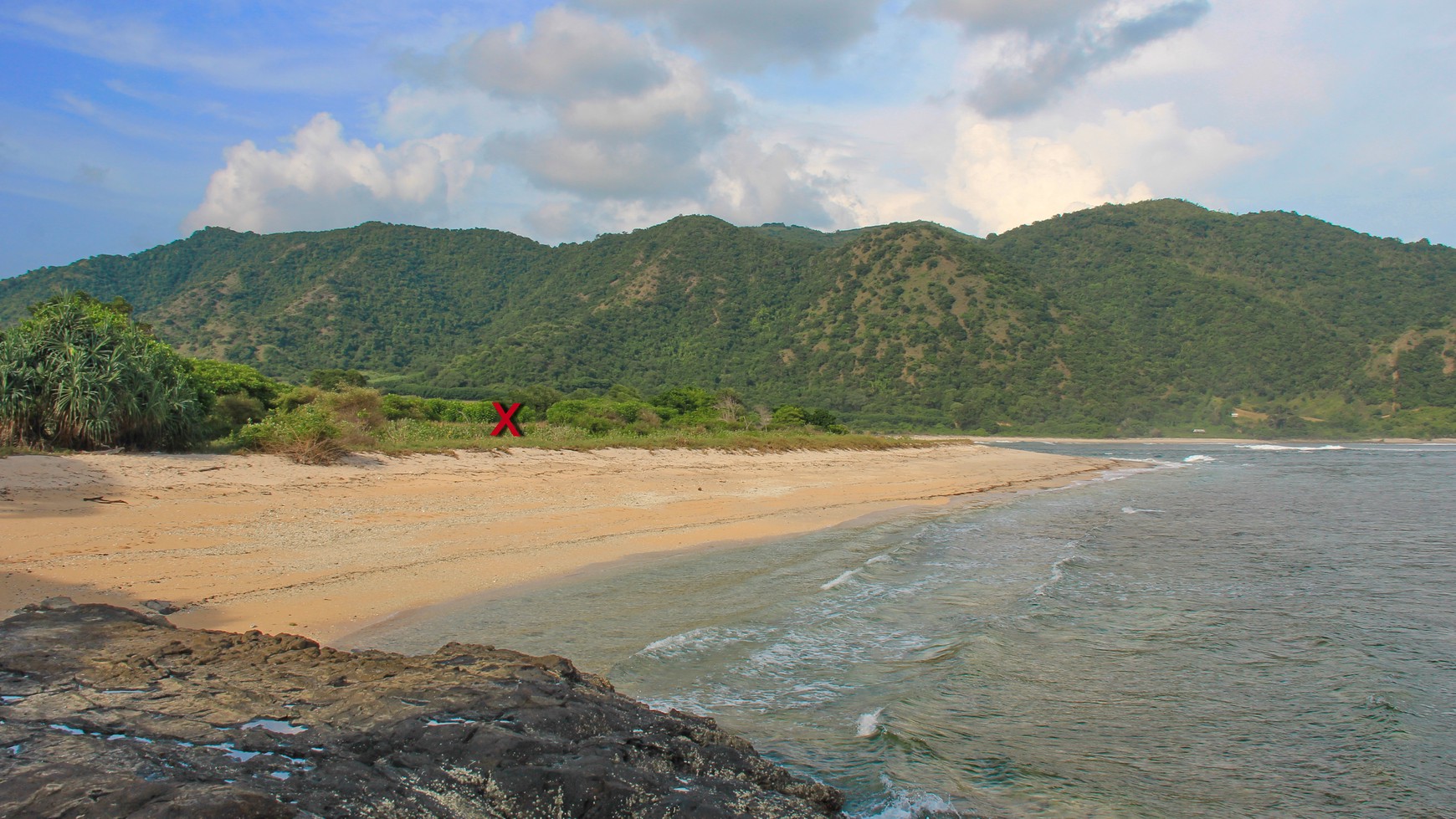 4600 Sqm Land Freehold In Taliwang Sumbawa