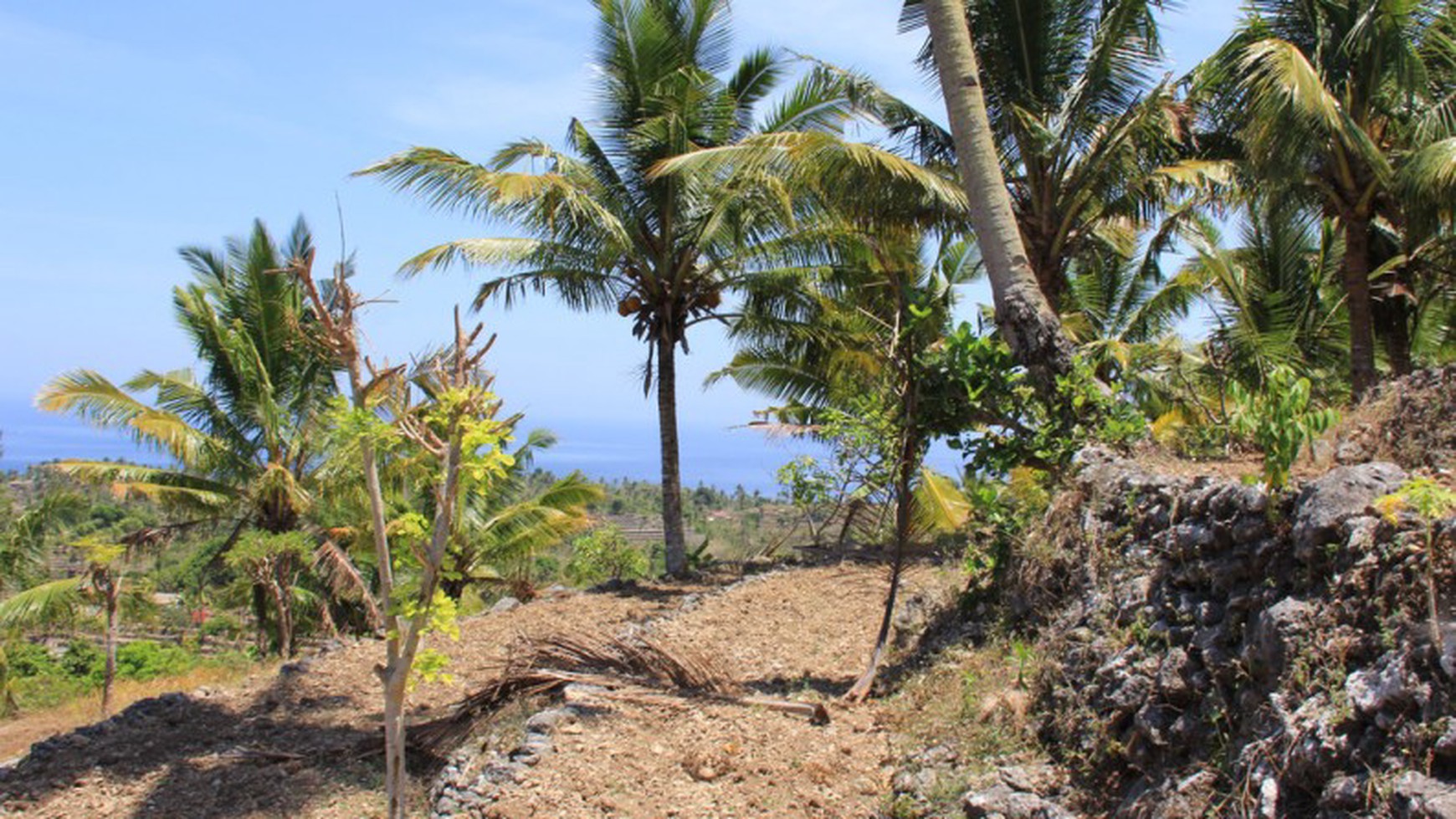 8700 Sqm Land Freehold Tanglad / Batu Atuh Nusa Penida