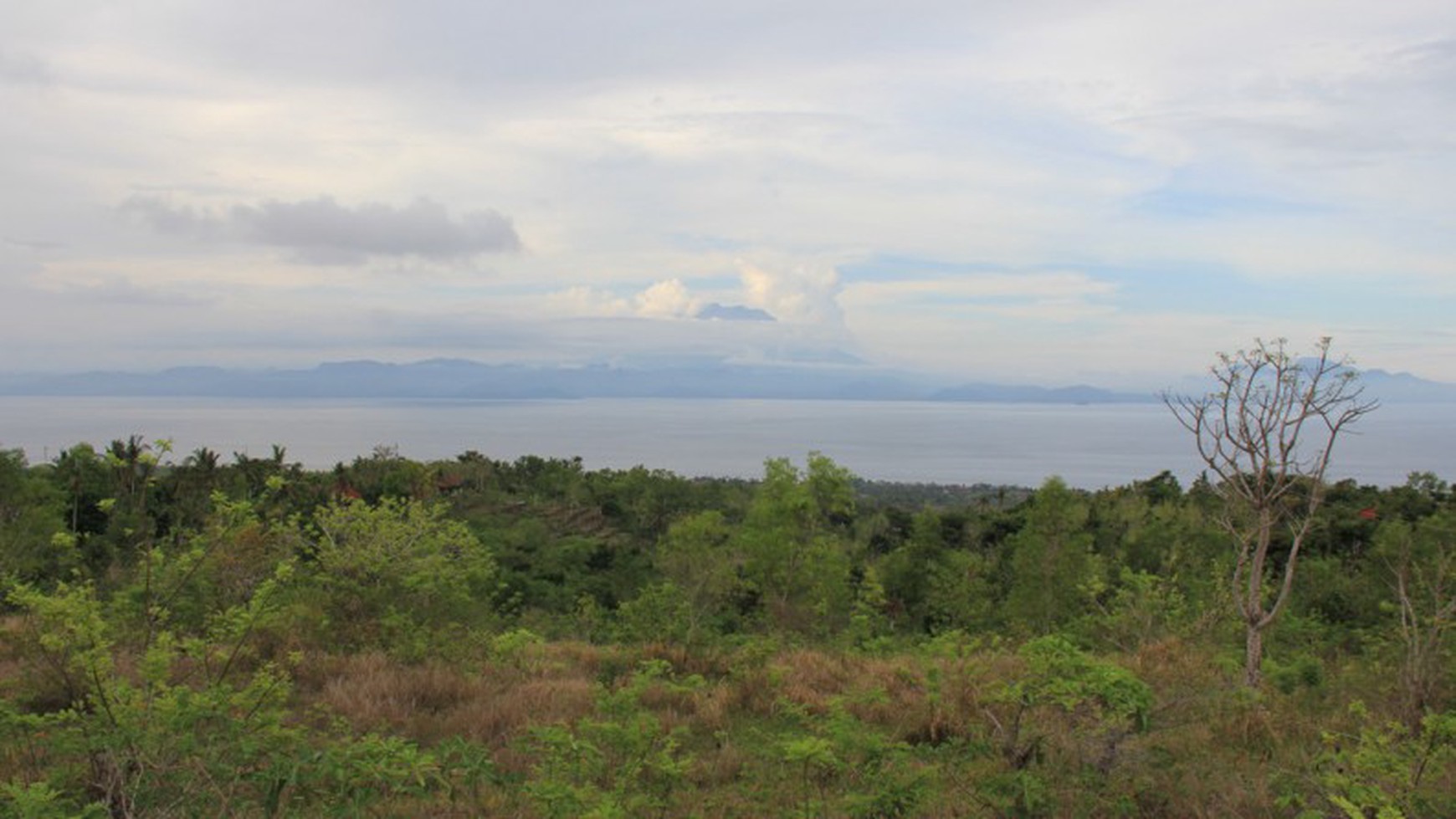 11000Sqm Land Freehold In Bukit Mundi Nusa Penida