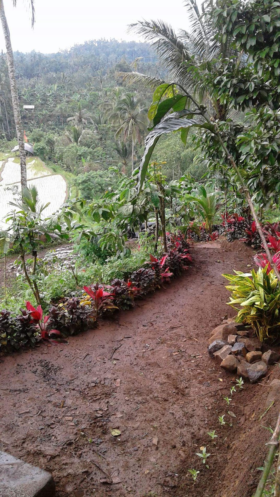 Sanda, Tabanan, Freehold land 1.92 Hectare ( 19200 Sqm ) A Spectacular Multifunctional Property Bali