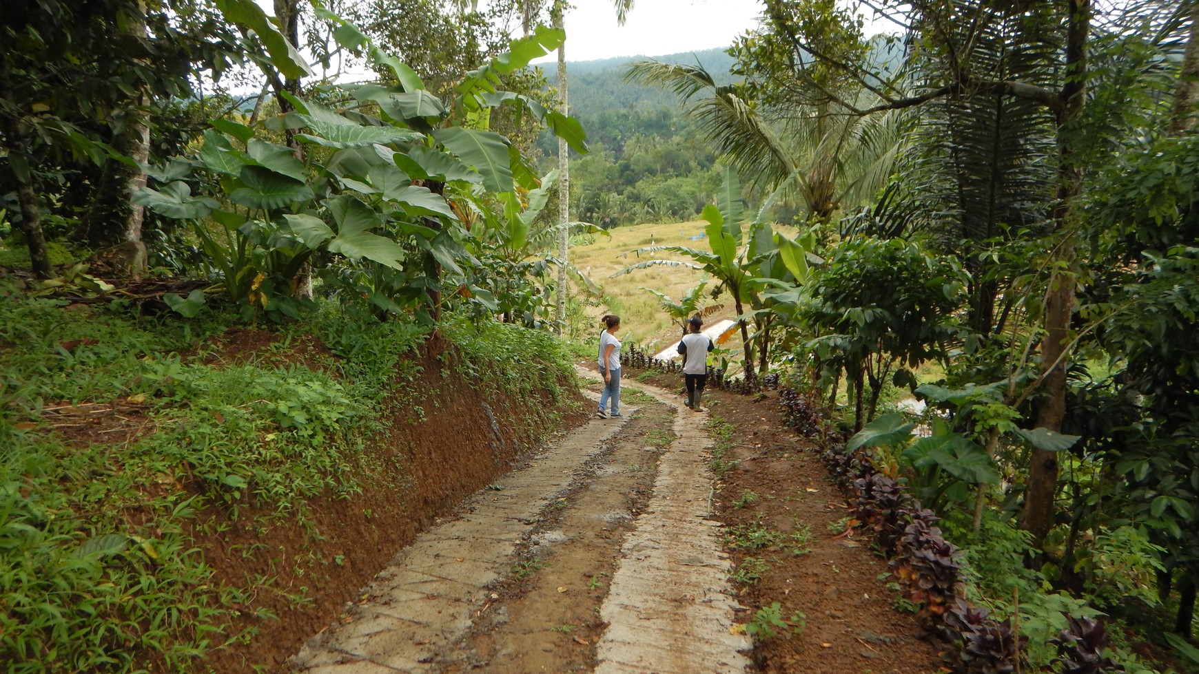 Sanda, Tabanan, Freehold land 1.92 Hectare ( 19200 Sqm ) A Spectacular Multifunctional Property Bali
