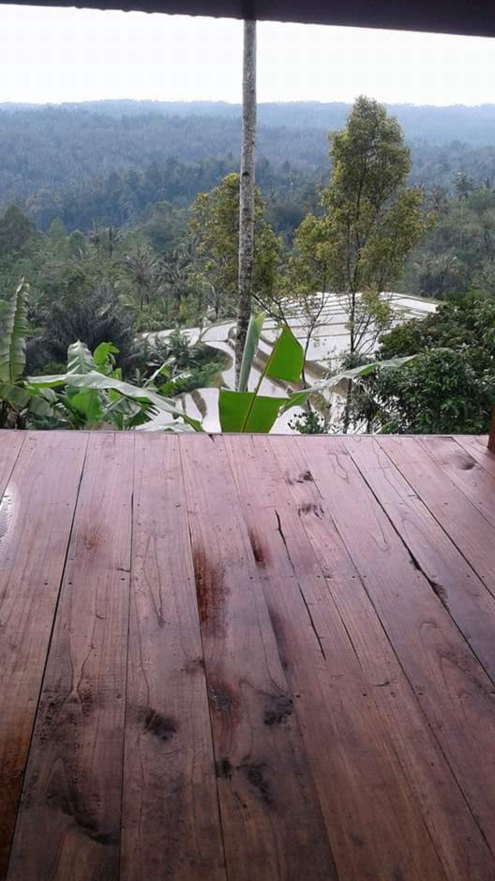 Sanda, Tabanan, Freehold land 1.92 Hectare ( 19200 Sqm ) A Spectacular Multifunctional Property Bali