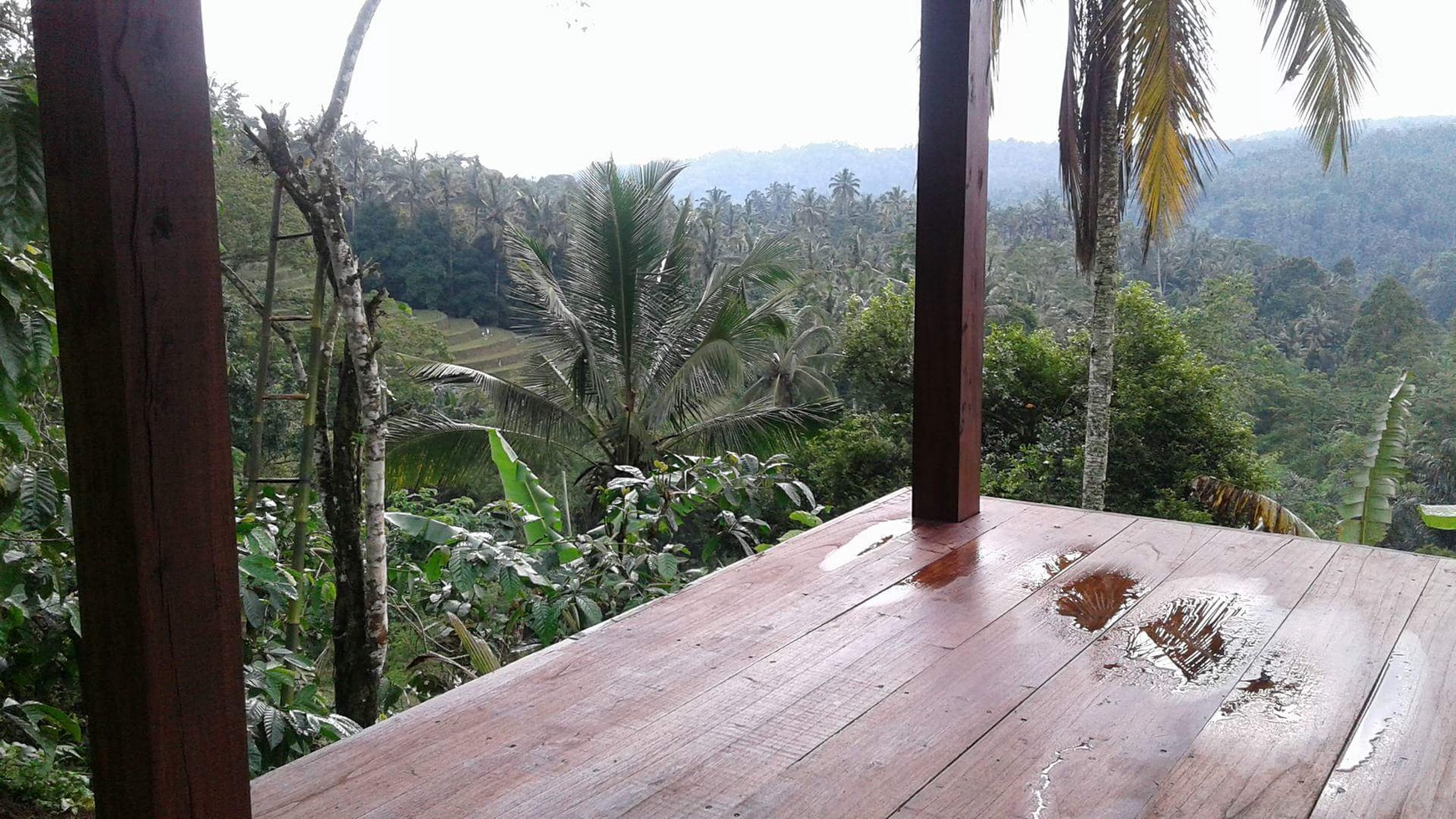Sanda, Tabanan, Freehold land 1.92 Hectare ( 19200 Sqm ) A Spectacular Multifunctional Property Bali