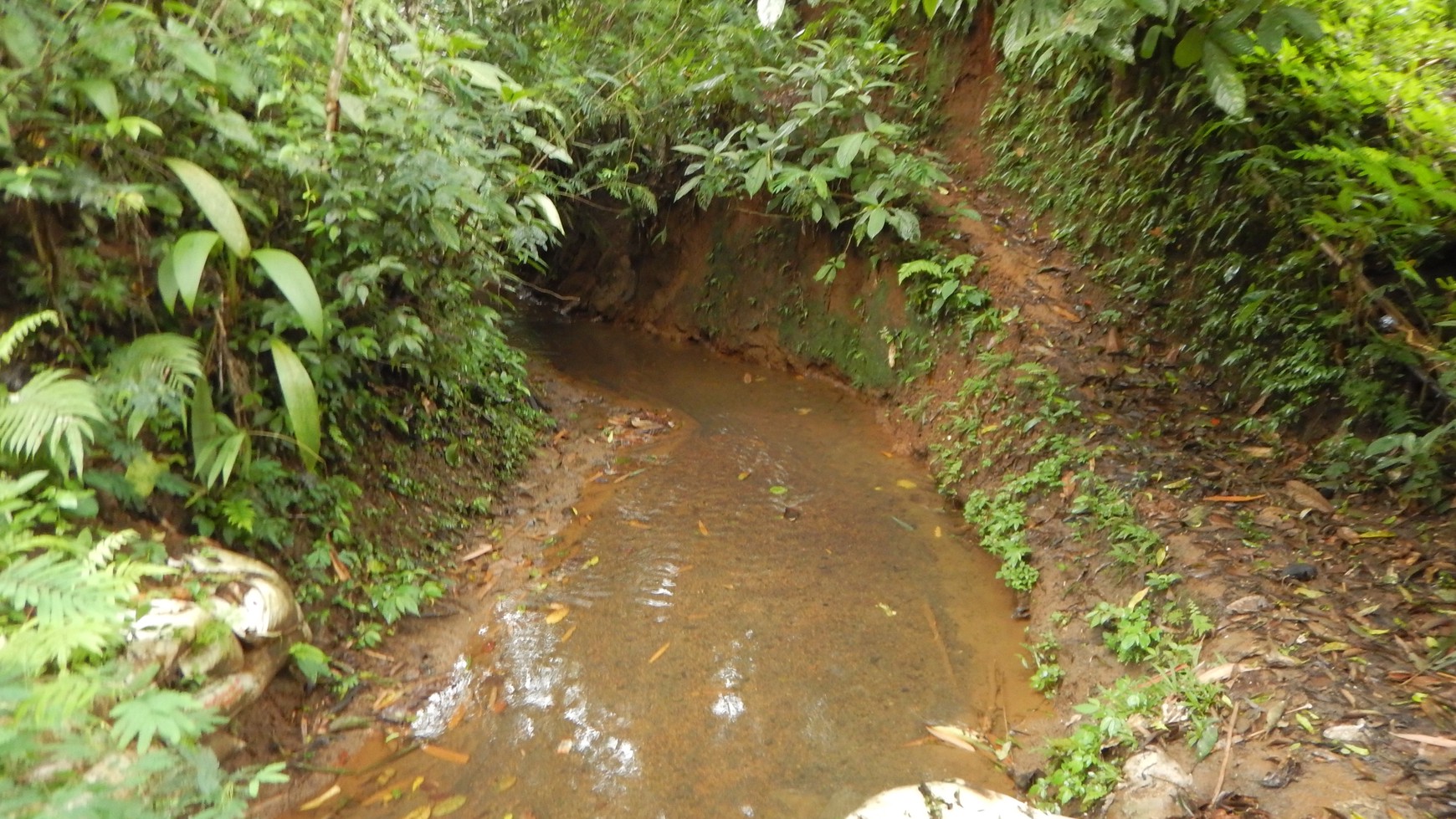 Sanda, Tabanan, Freehold land 1.92 Hectare ( 19200 Sqm ) A Spectacular Multifunctional Property Bali