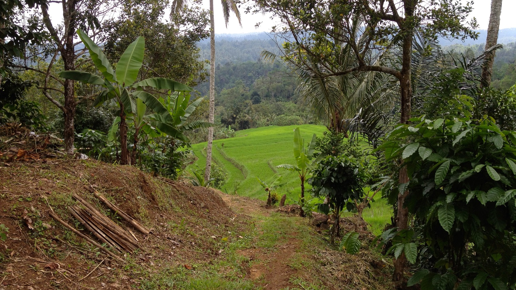 Sanda, Tabanan, Freehold land 1.92 Hectare ( 19200 Sqm ) A Spectacular Multifunctional Property!