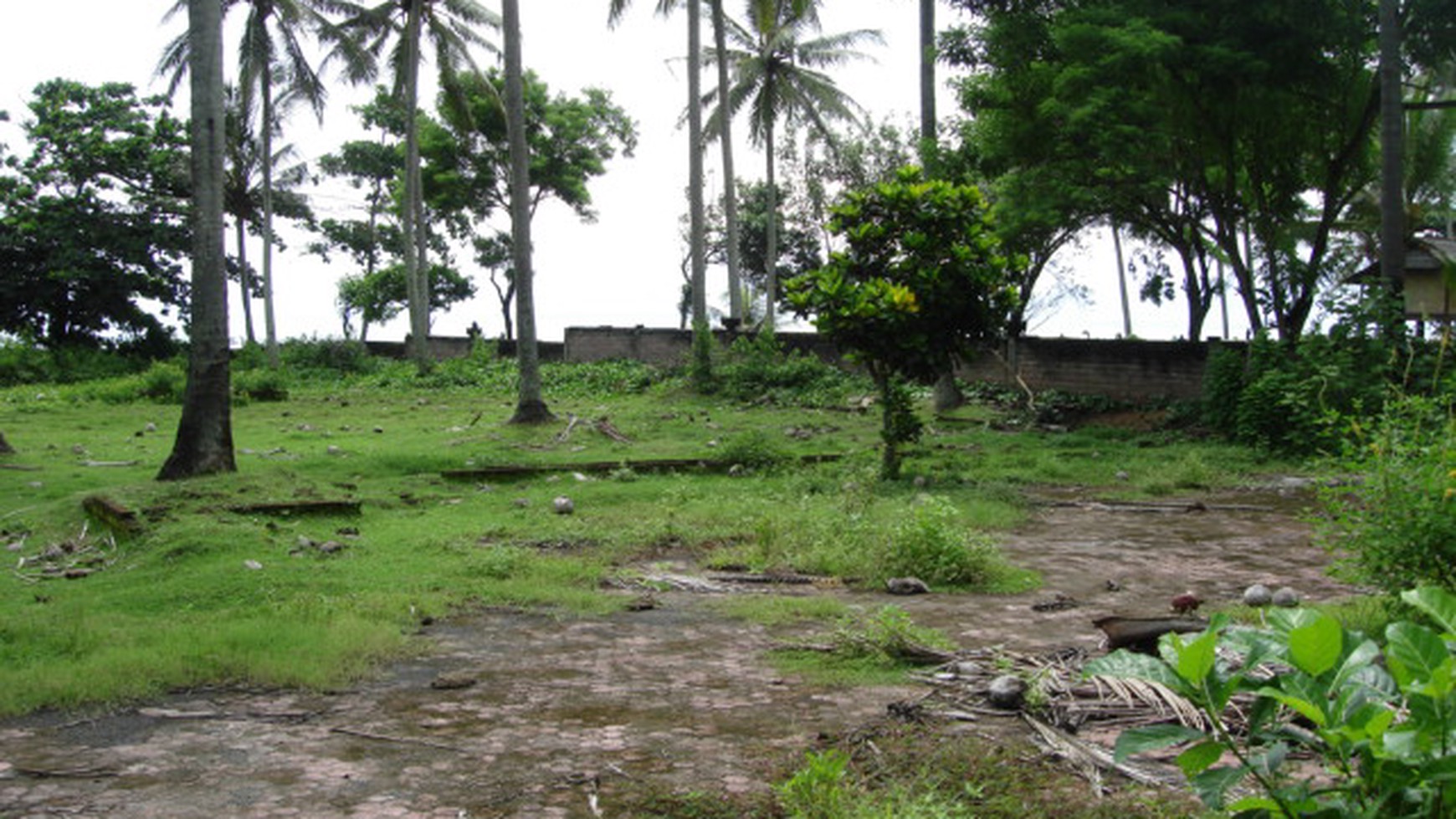 Freehold Beachfront Land (Two Units of 1420m2 & 1430m2) Pengragoan Beach in Pekutatan, West Bali