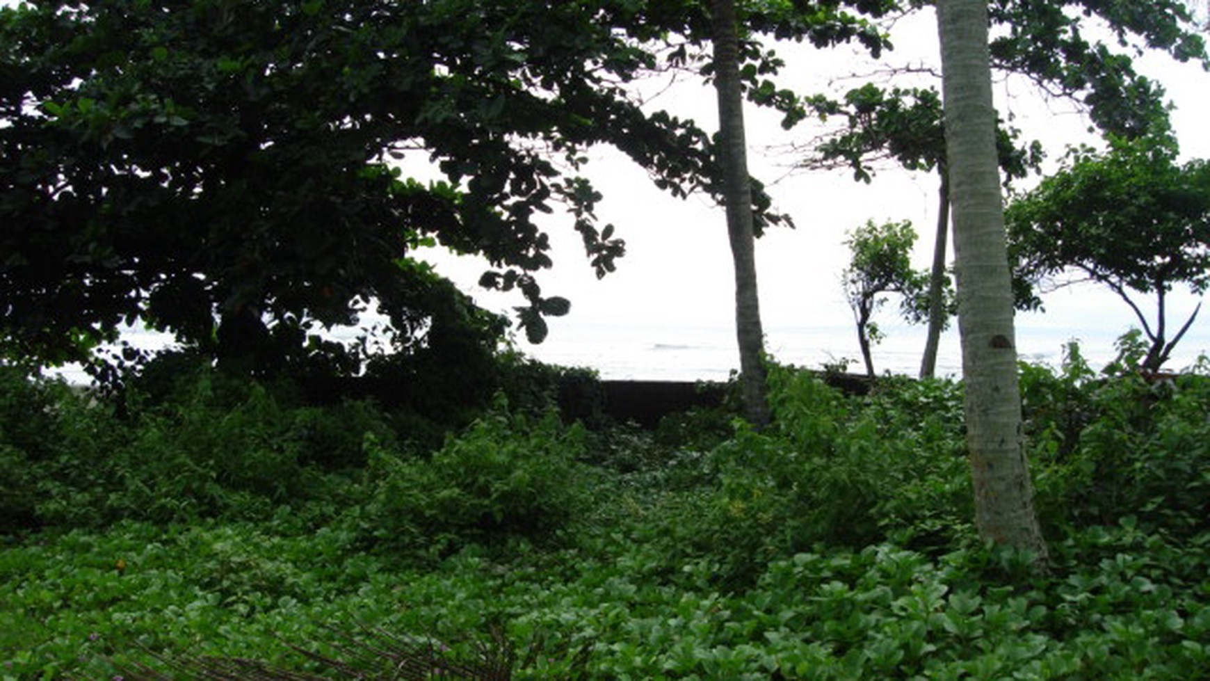 Freehold Beachfront Land (Two Units of 1420m2 & 1430m2) Pengragoan Beach in Pekutatan, West Bali