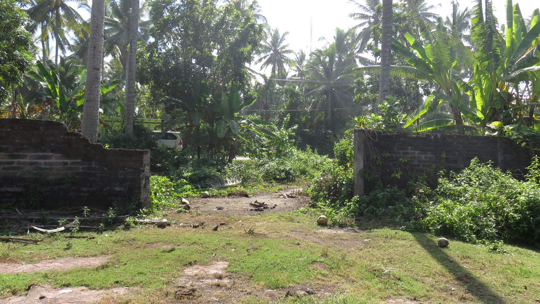 Freehold Beachfront Land (Two Units of 1420m2 & 1430m2) Pengragoan Beach in Pekutatan, West Bali