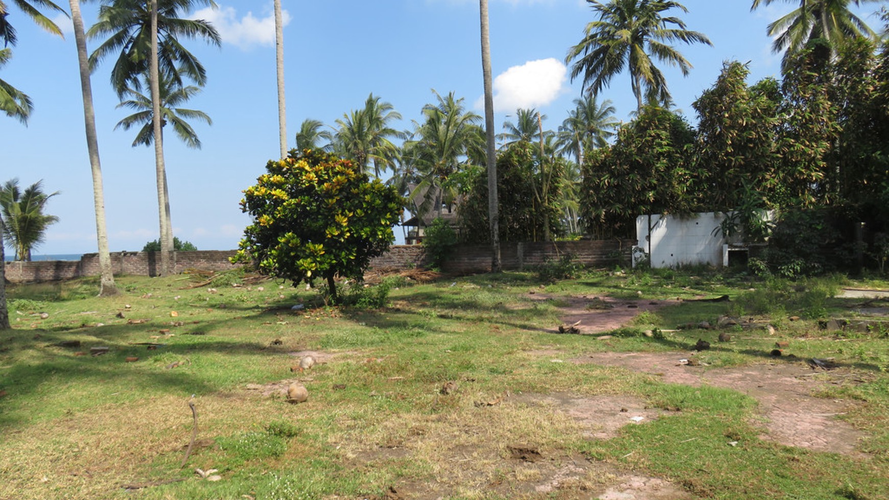 Freehold Beachfront Land (Two Units of 1420m2 & 1430m2) Pengragoan Beach in Pekutatan, West Bali