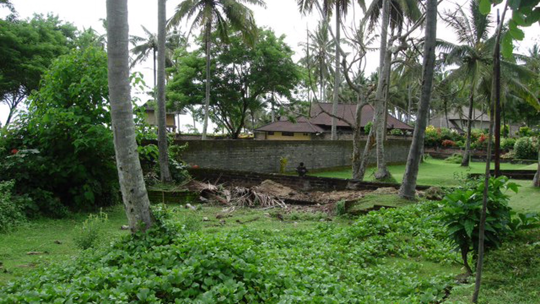 Freehold Beachfront Land (Two Units of 1420m2 & 1430m2) Pengragoan Beach in Pekutatan, West Bali