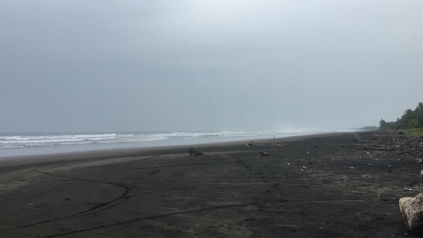 Freehold Beachfront Land (Two Units of 1420m2 & 1430m2) Pengragoan Beach in Pekutatan, West Bali