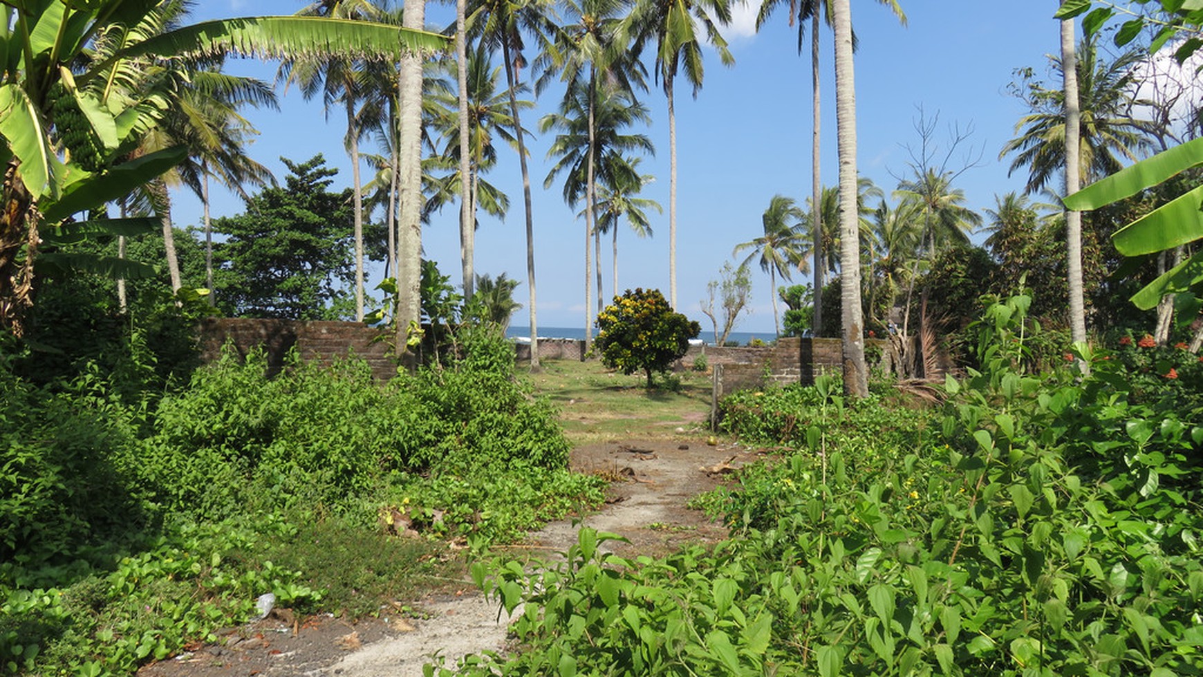 Freehold Beachfront Land (Two Units of 1420m2 & 1430m2) Pengragoan Beach in Pekutatan, West Bali