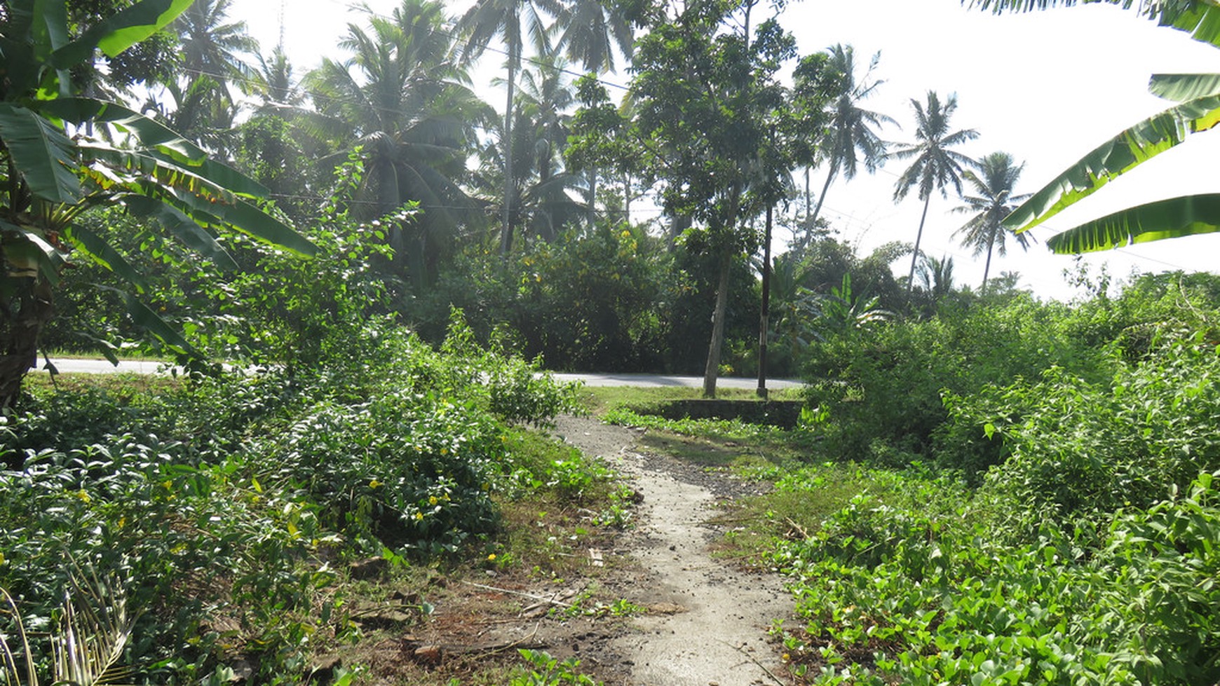 Freehold Beachfront Land (Two Units of 1420m2 & 1430m2) Pengragoan Beach in Pekutatan, West Bali