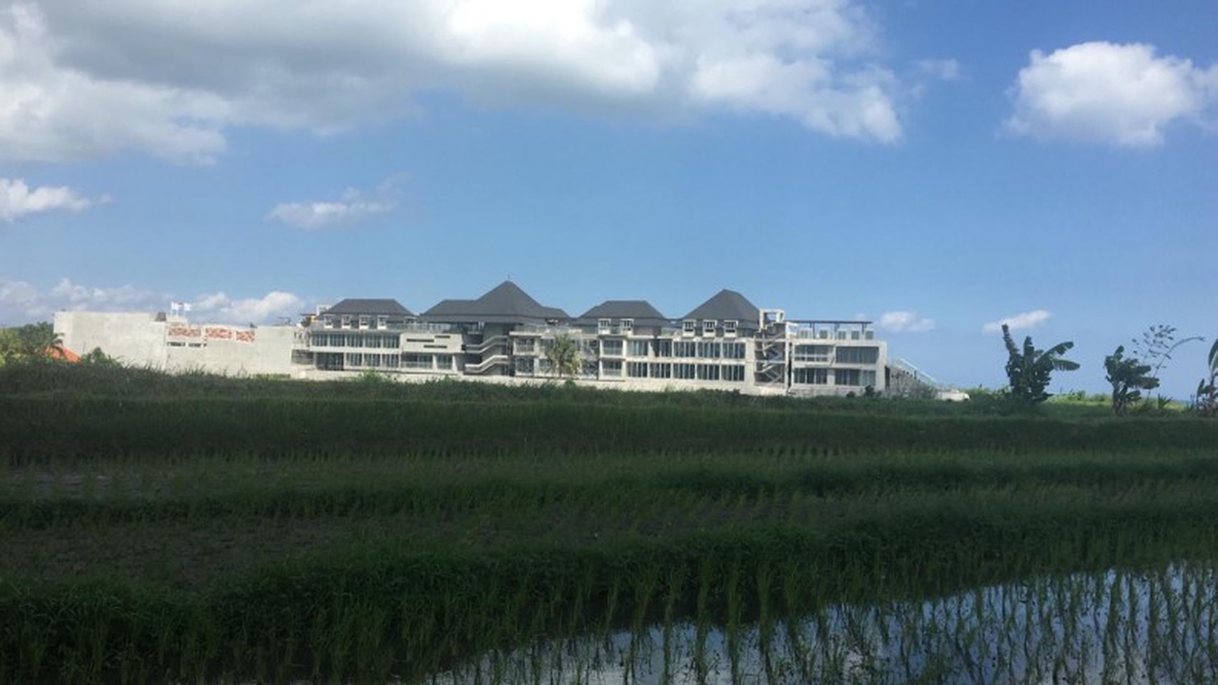 Land Freehold Main Road 1790 Sqm in Yeh Gangga Bali