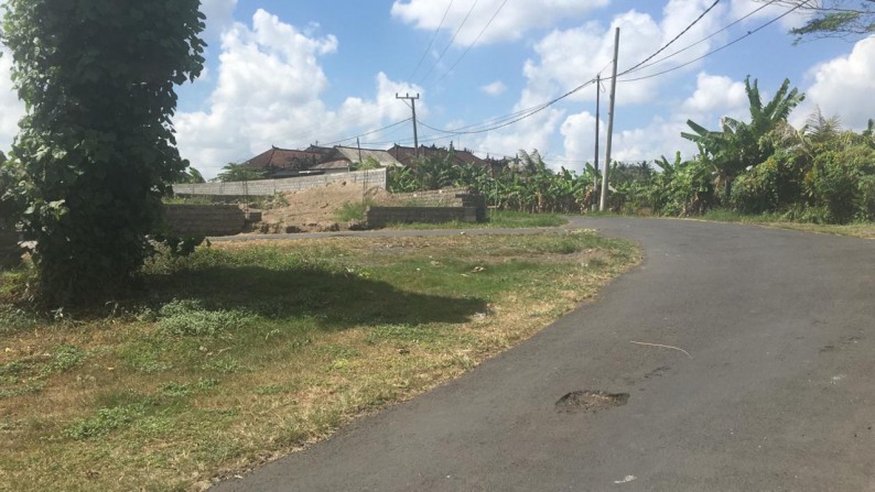 Land Freehold Main Road 1790 Sqm in Yeh Gangga Bali