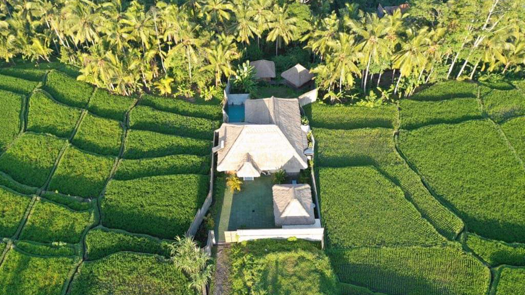 Villa Leasehold 2500 Sqm in Petulu Ubud