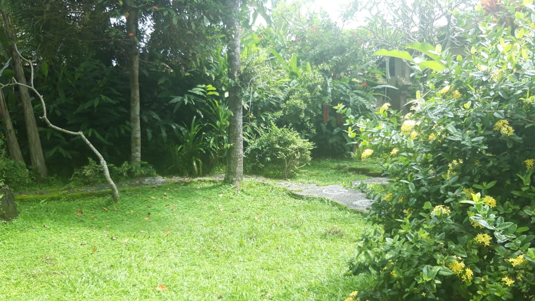 Traditional Villa Freehold in Ubud Bali with big Garden