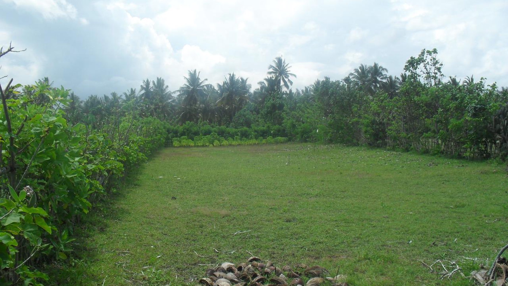 Land Freehold 2000 Sqm  beach Front Negara Bali