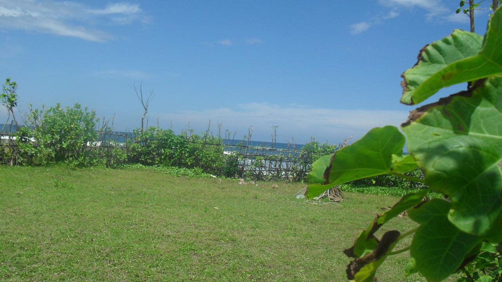 Land Freehold 2000 Sqm  beach Front Negara Bali