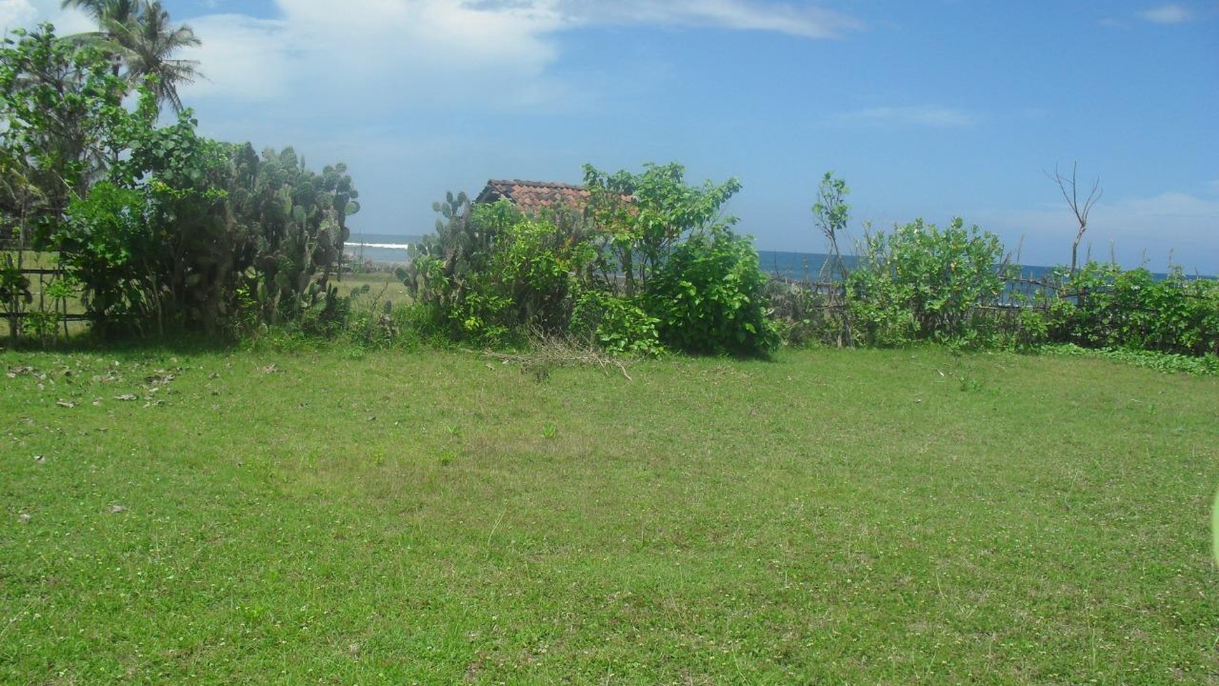 Land Freehold 2000 Sqm  beach Front Negara Bali