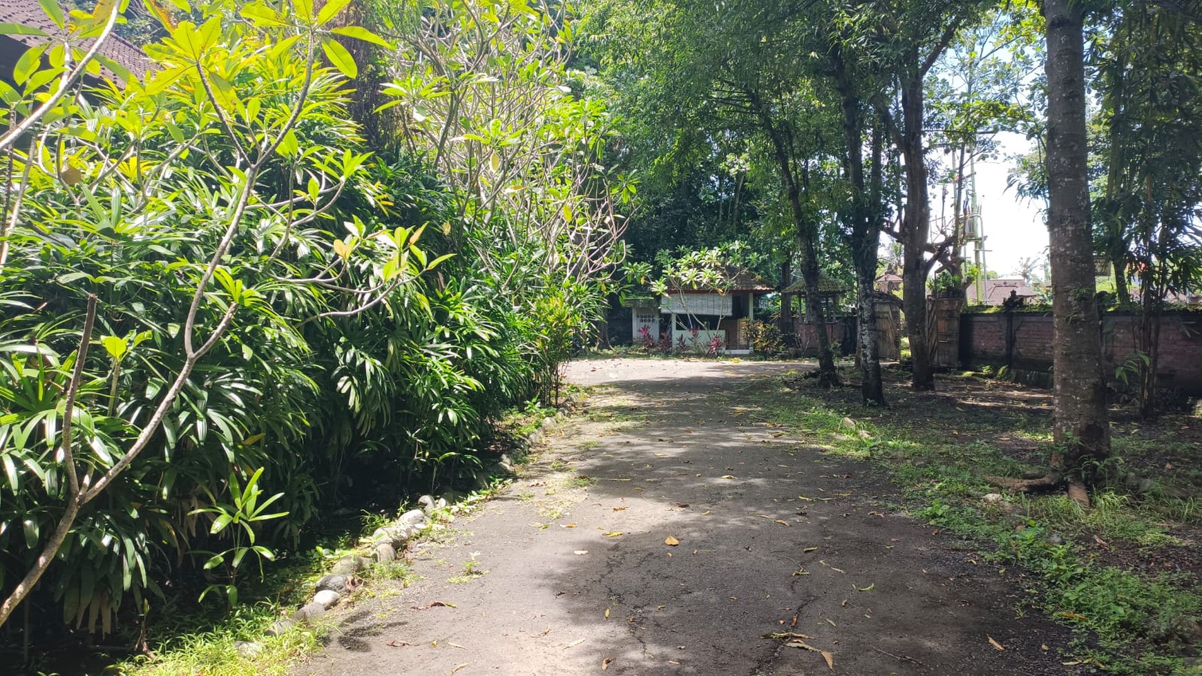 Land Freehold 19400 Sqm in Great Location Kaba Kaba Beyond Canggu