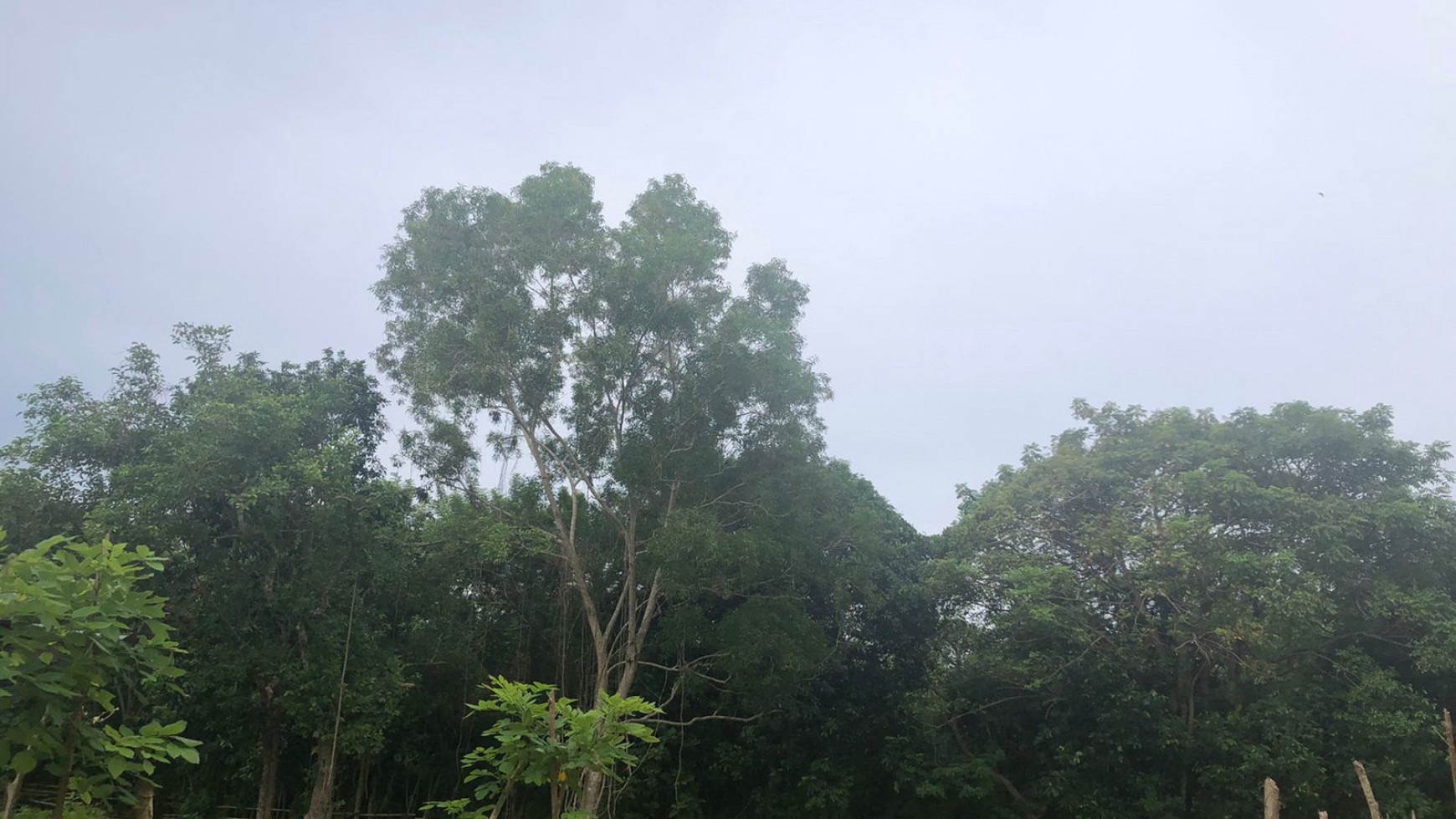 Freehold 9550 Sqm in Great Location Sawangan Nusa Dua Bali