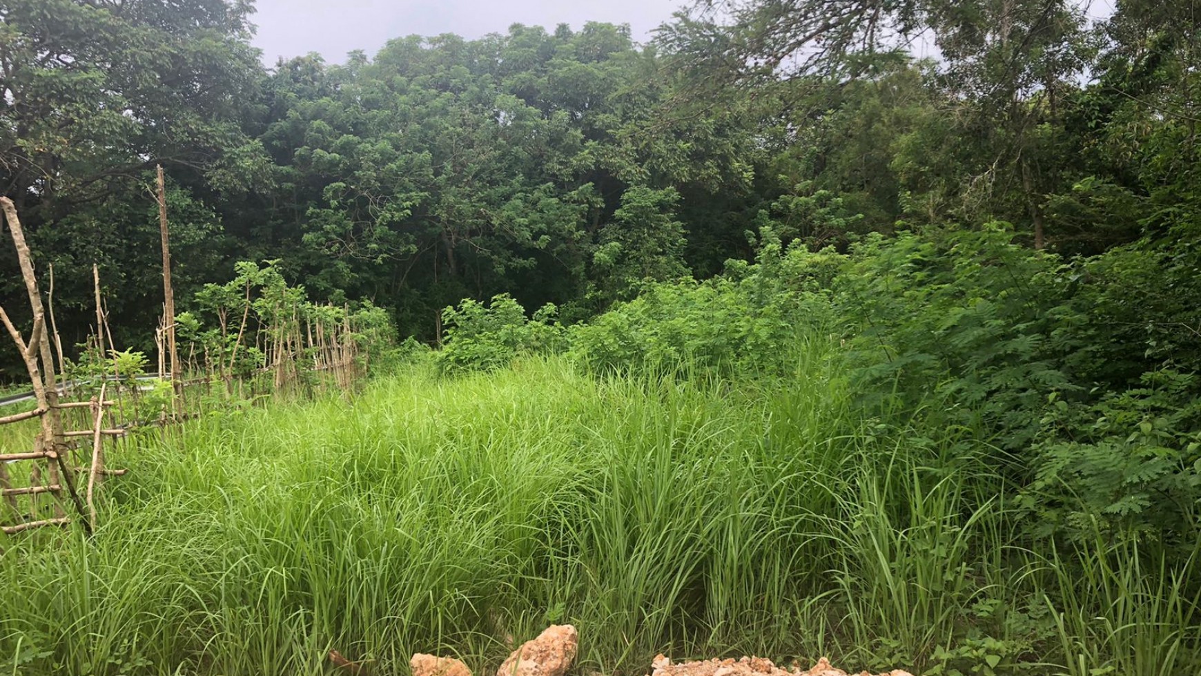 Freehold 9550 Sqm in Great Location Sawangan Nusa Dua Bali