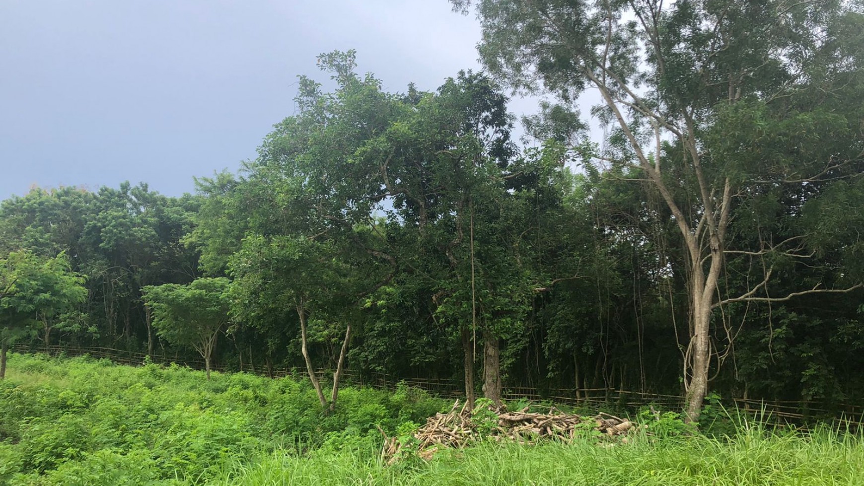 Freehold 9550 Sqm in Great Location Sawangan Nusa Dua Bali