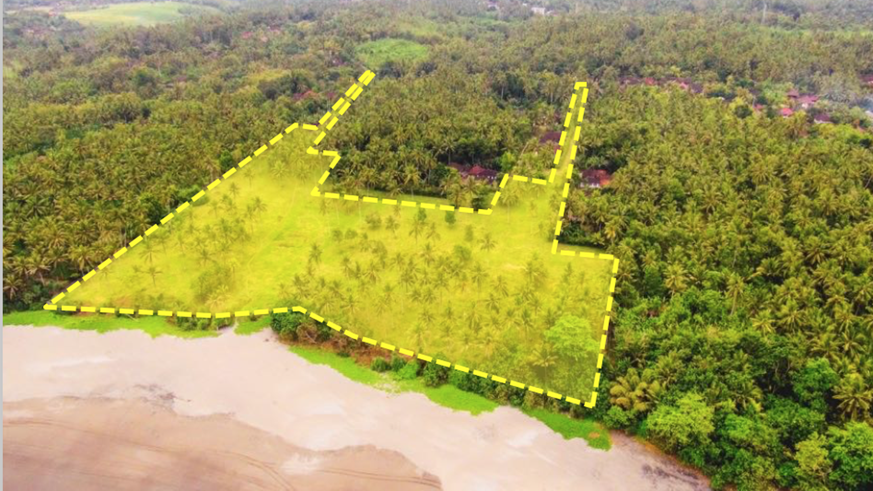 Land Freehold In Great Location Medewi Jembrana