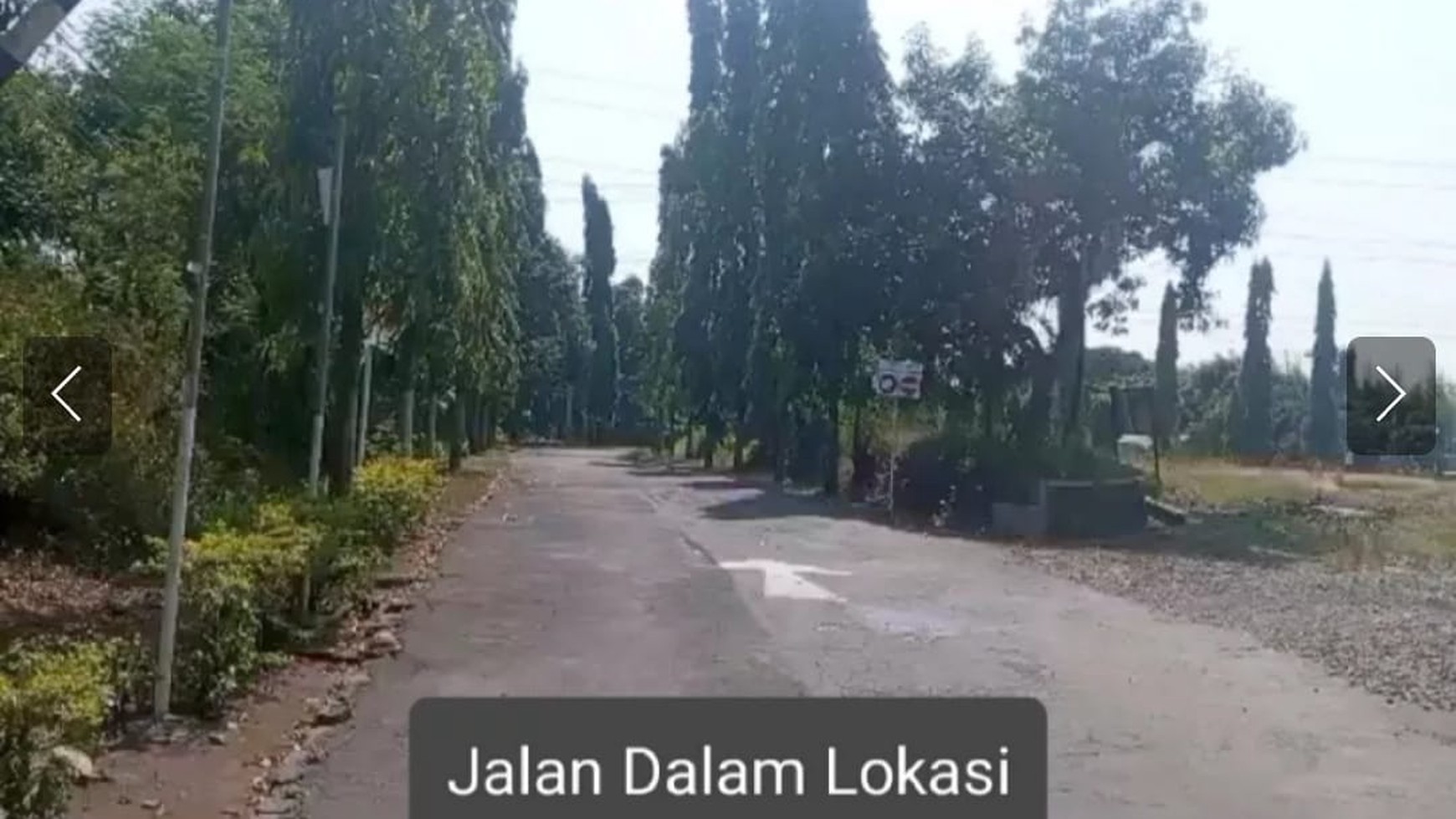 TANAH LUAS 60 HA EX PETERNAKAN 