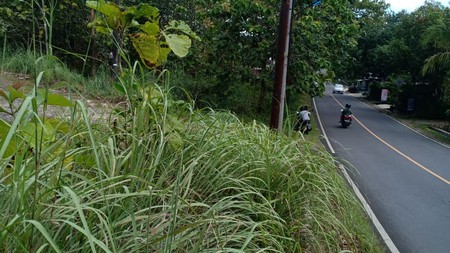 Tanah Luas 7822 Meter Persegi Lokasi Strategis Jl Nasional Gunung Kidul 