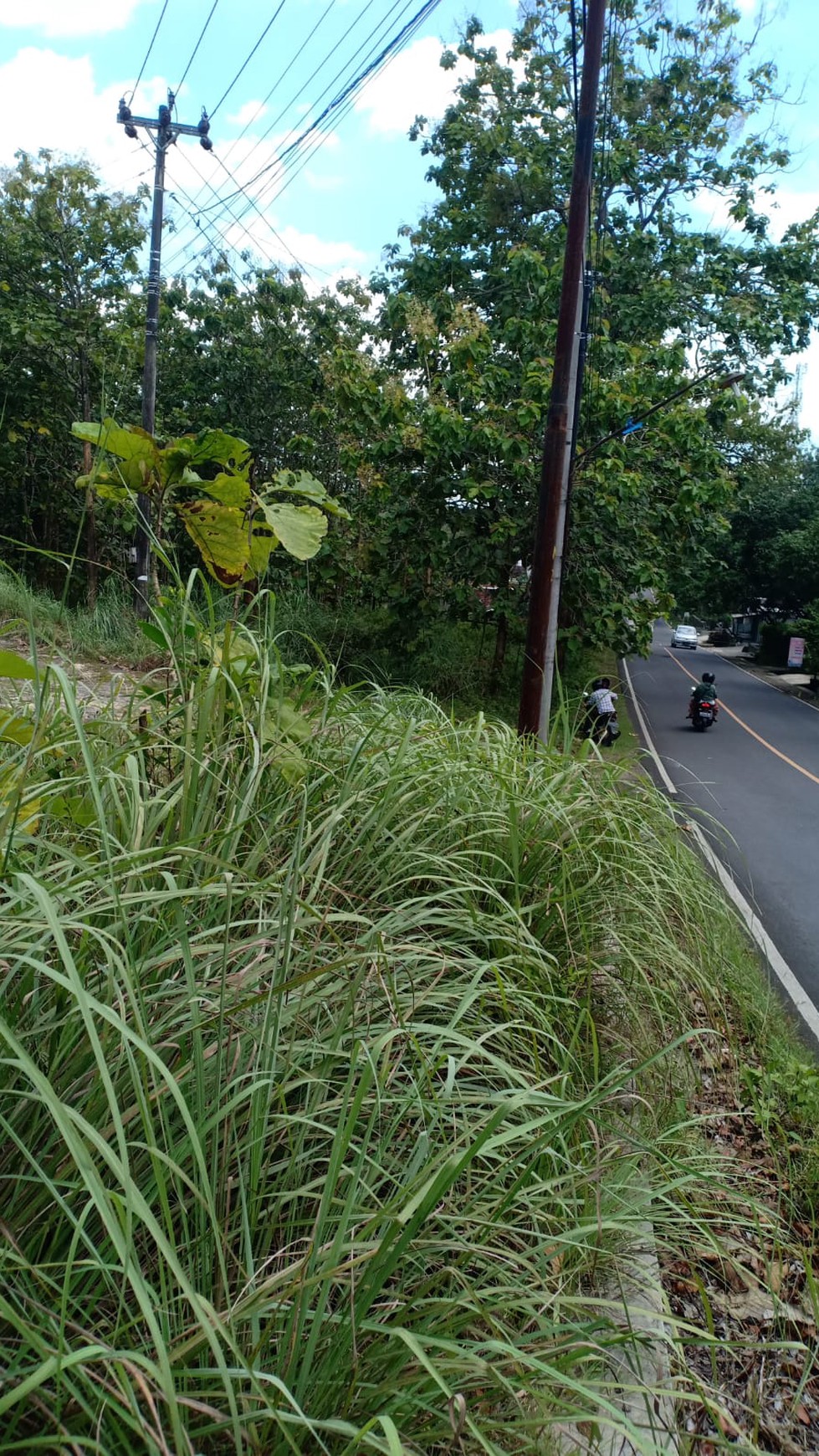 Tanah Luas 7822 Meter Persegi Lokasi Strategis Jl Nasional Gunung Kidul 