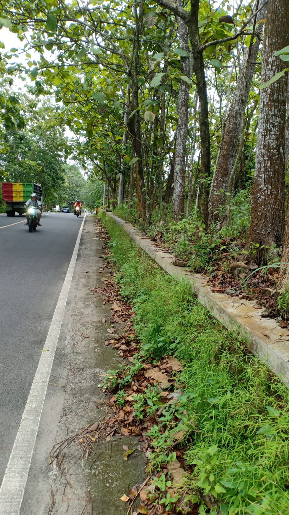 Tanah Luas 7822 Meter Persegi Lokasi Strategis Jl Nasional Gunung Kidul 