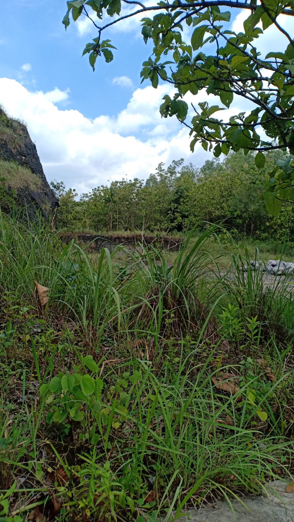 Tanah Luas 12.320 Meter Persegi Lokasi Gunung Krambil Ponjong Gunung Kidul 