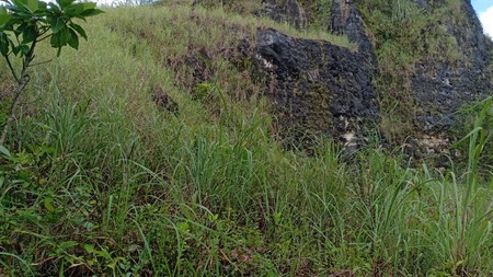 Tanah Luas 12.320 Meter Persegi Lokasi Gunung Krambil Ponjong Gunung Kidul 