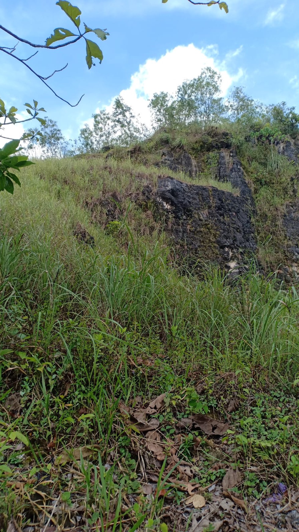 Tanah Luas 12.320 Meter Persegi Lokasi Gunung Krambil Ponjong Gunung Kidul 