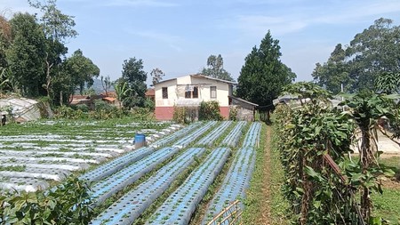 Tanah Siap Bangun di Area Lembang