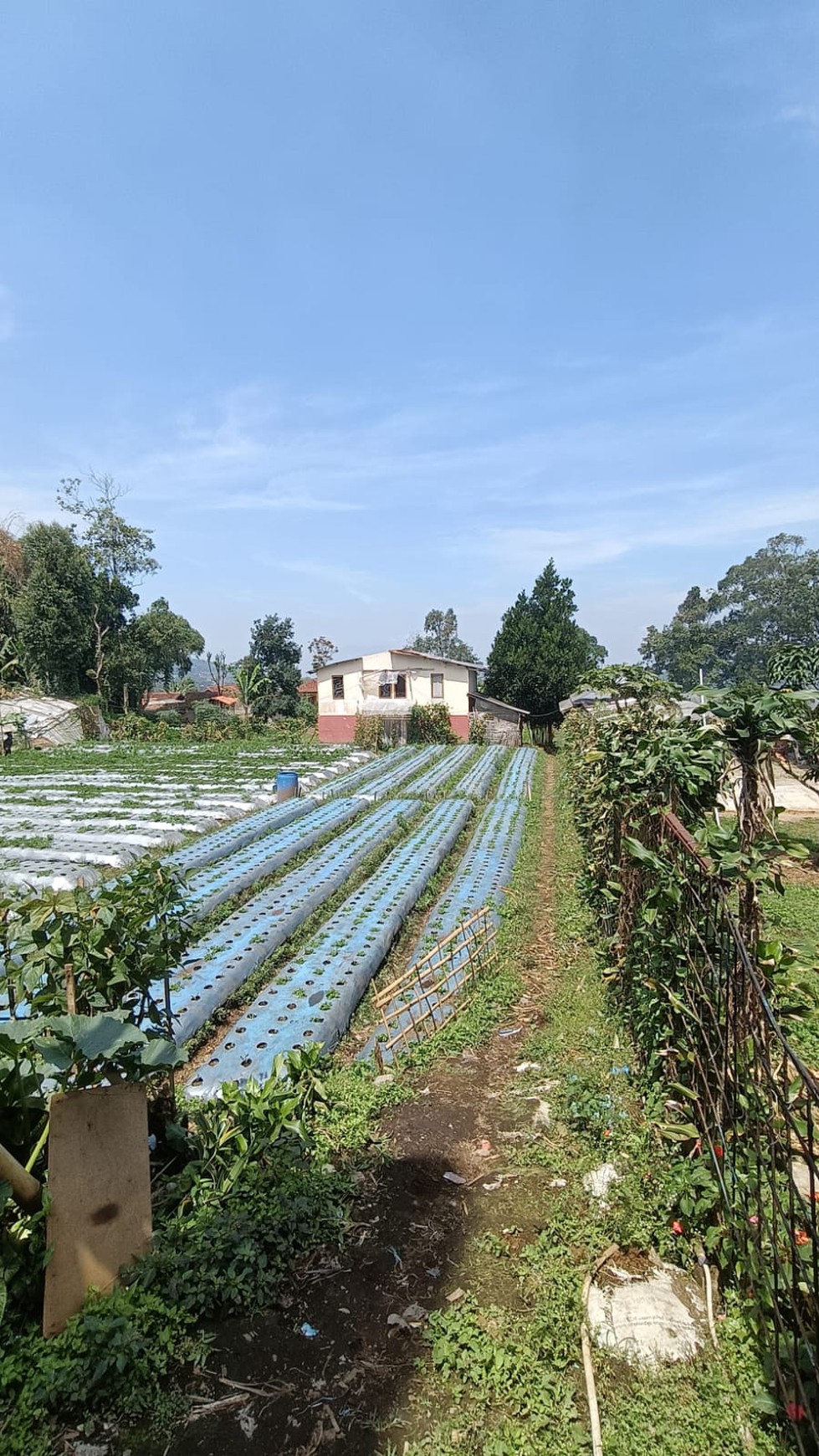 Tanah Siap Bangun di Area Lembang