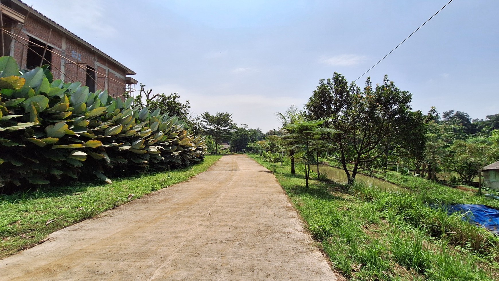 Tanah 8,486 meter di Ciseeng: Pilihan Tepat untuk Investasi Anda!