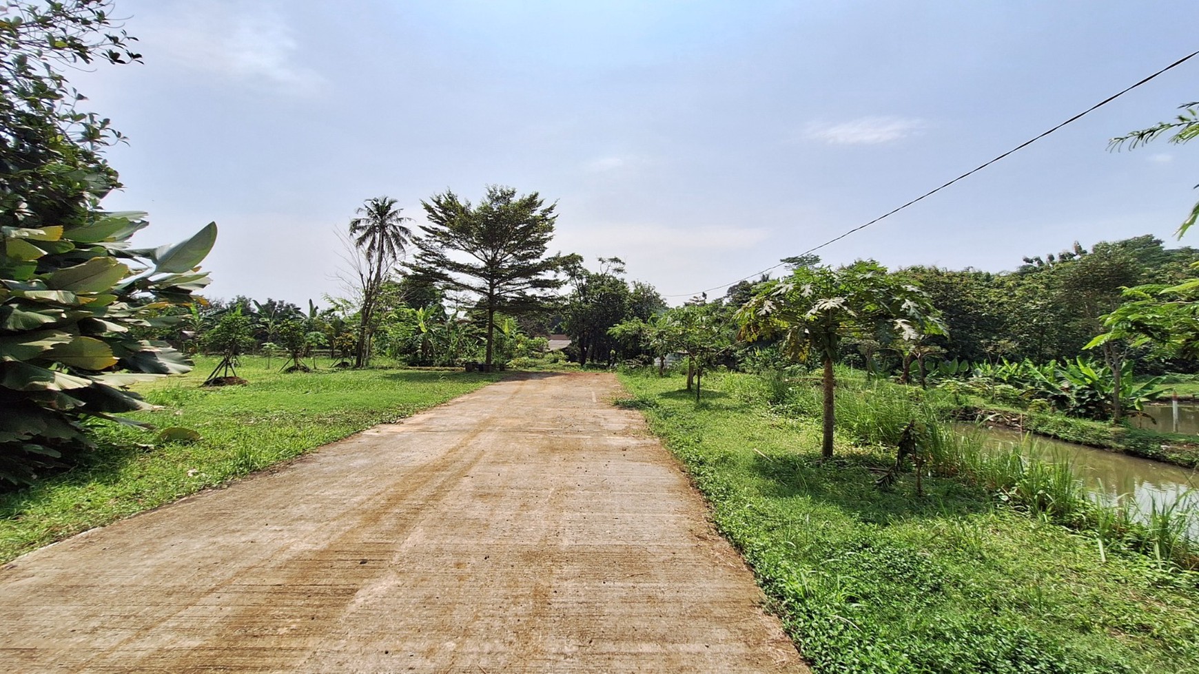 Tanah 8,486 meter di Ciseeng: Pilihan Tepat untuk Investasi Anda!