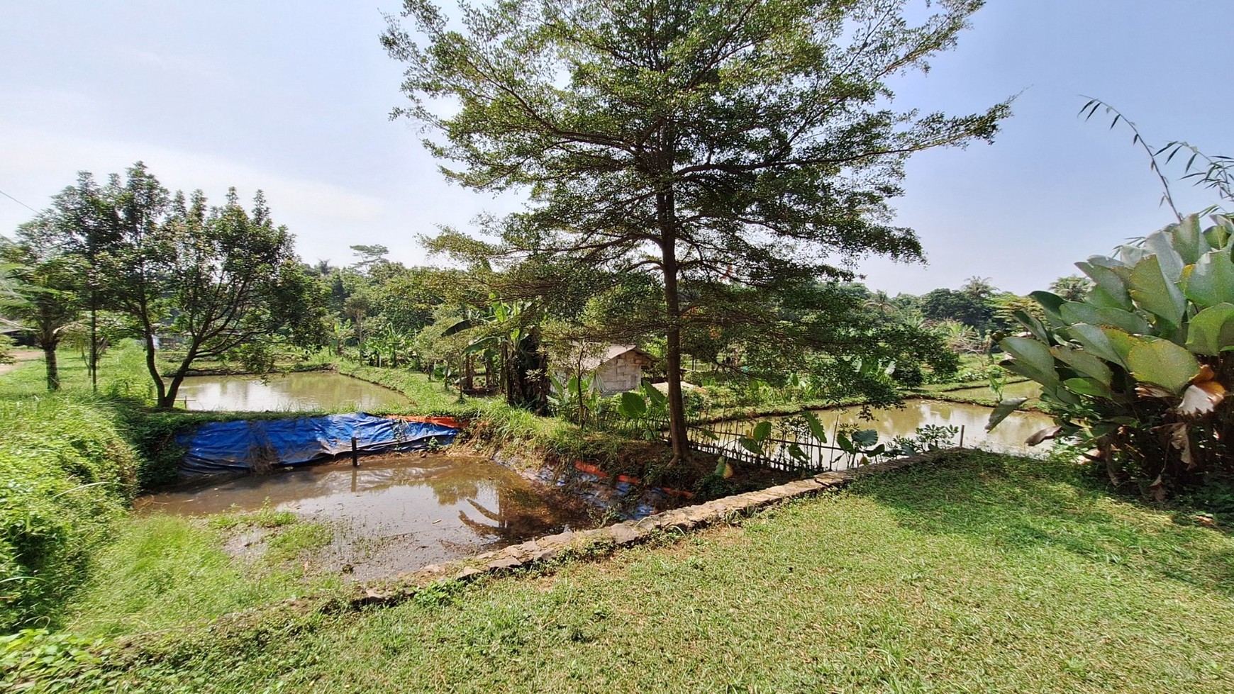 Tanah 8,486 meter di Ciseeng: Pilihan Tepat untuk Investasi Anda!