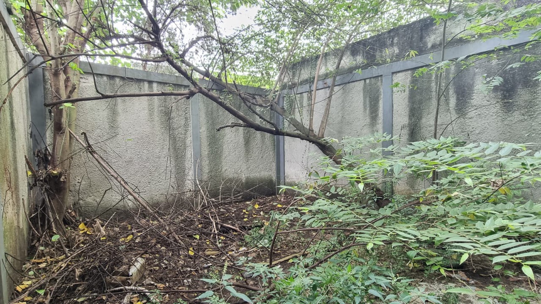 Ruko 3 Lantai Siap Pakai dan Lokasi Strategis @Bintaro Sektor 9
